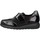 Zapatos Derbie & Richelieu Pinoso's 7919G Negro