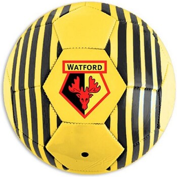 Accesorios Complemento para deporte Watford Fc SG18523 Multicolor