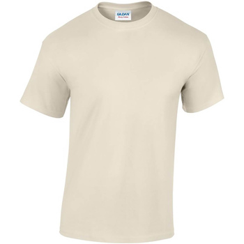 textil Hombre Camisetas manga larga Gildan GD05 Beige