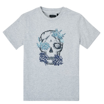 textil Niño Camisetas manga corta Ikks XS10243-21-C Gris