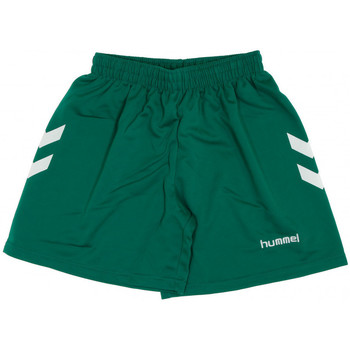 textil Niña Shorts / Bermudas hummel  Verde