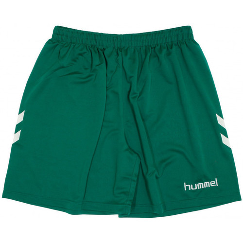 textil Hombre Shorts / Bermudas hummel  Verde