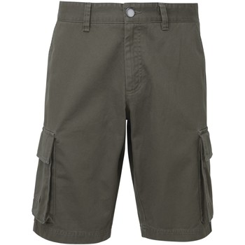 textil Hombre Shorts / Bermudas Asquith & Fox AQ054 Gris