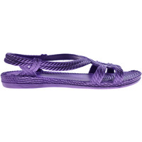 Zapatos Chanclas Brasileras Esmirna Purple