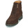 Zapatos Hombre Botas de caña baja Pellet ROLAND Piel / Chocolate
