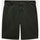textil Hombre Shorts / Bermudas Dickies Slim fit short Verde