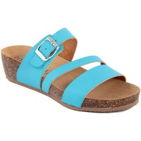 Zapatos Mujer Sandalias Summery  Azul