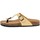 Zapatos Mujer Chanclas Summery  Beige