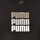 textil Niña Camisetas manga corta Puma ALPHA TEE Negro