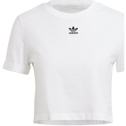 textil Mujer Camisetas manga corta adidas Originals Crop Top Blanco