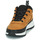 Zapatos Niños Zapatillas bajas Timberland FIELD TREKKER LOW Trigo