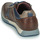 Zapatos Hombre Zapatillas bajas Pikolinos CAMBIL Marrón / Azul
