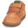 Zapatos Niño Zapatillas bajas Aster WASHAN Camel / Verde