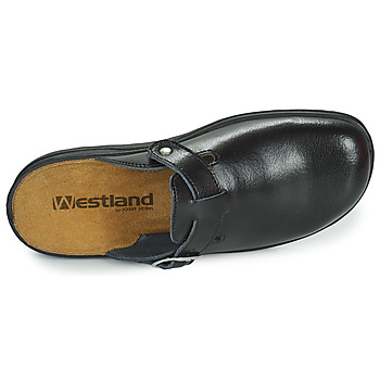 Westland METZ 265 Negro