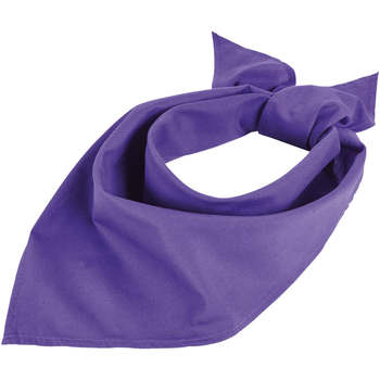 Accesorios textil Bufanda Sols BANDANA Morado Oscuro Violeta