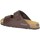 Zapatos Hombre Chanclas Grunland CB3013-40 Marrón