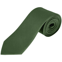 textil Hombre Trajes y corbatas Sols GARNER - CORBATA Verde