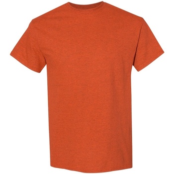 textil Hombre Camisetas manga corta Gildan 5000 Naranja