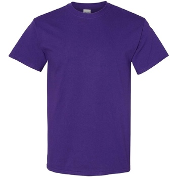 textil Hombre Camisetas manga corta Gildan 5000 Violeta