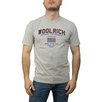 textil Hombre Tops y Camisetas Woolrich 31328-15278 Gris