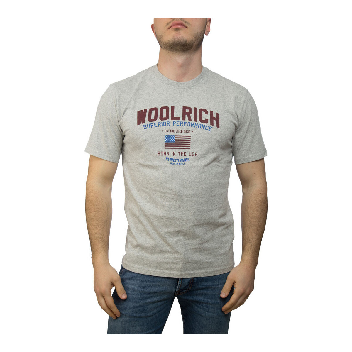 textil Hombre Tops y Camisetas Woolrich W0TEE1158 Gris