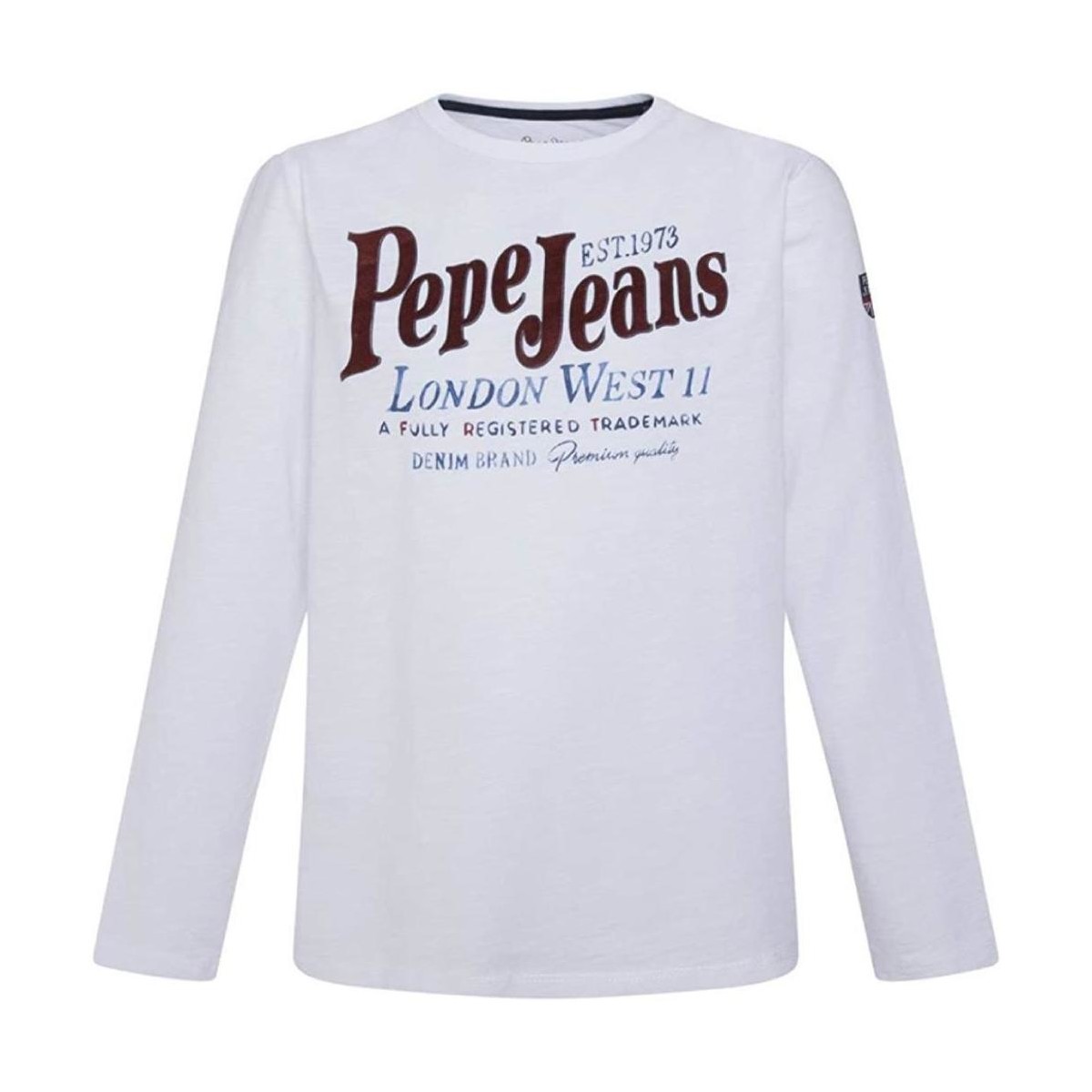 textil Niño Camisetas manga corta Pepe jeans PB503032 - 802 Blanco