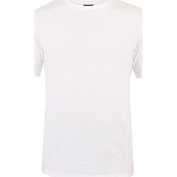 textil Niño Camisetas manga corta Canterbury  Blanco