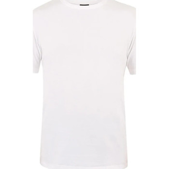 textil Niño Camisetas manga corta Canterbury  Blanco