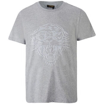 textil Camisetas manga corta Ed Hardy Tiger glow t-shirt mid-grey Gris