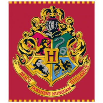 Casa Manta Harry Potter HP 52 48 128 Rojo