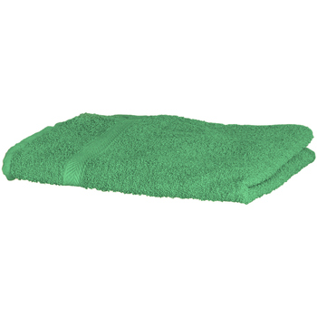 Casa Toalla y manopla de toalla Towel City RW1576 Verde