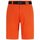 textil Hombre Pantalones cortos Tommy Jeans DM0DM10873 - Hombres Naranja