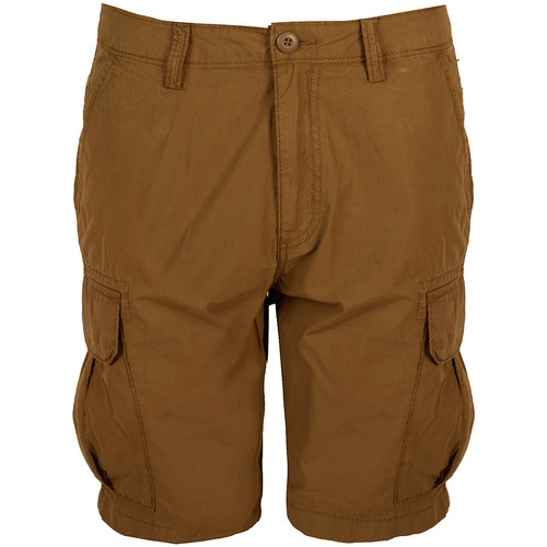 textil Hombre Shorts / Bermudas Napapijri NP0A4F7AN, Cargo Marrón
