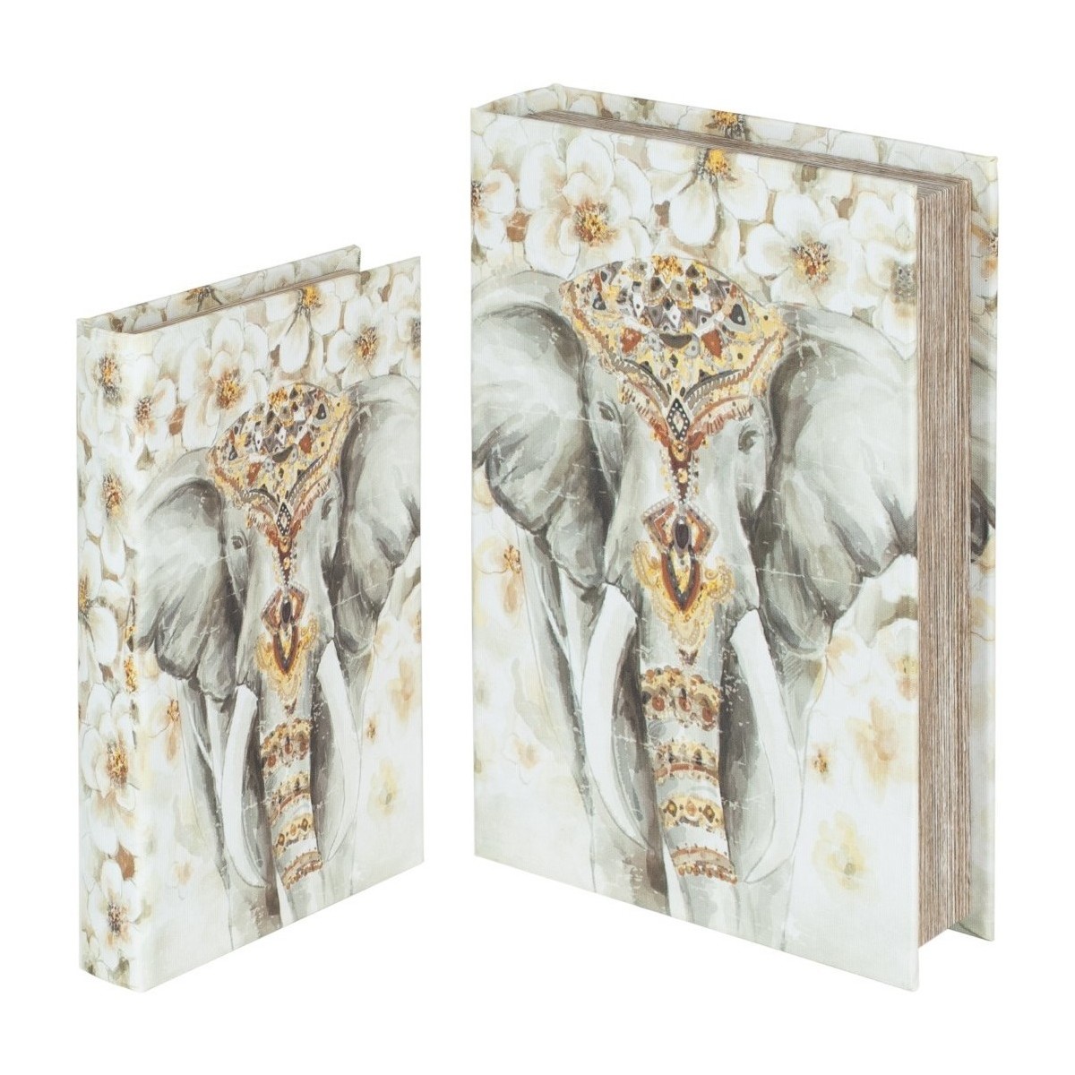 Casa Cestas / cajas y papelera Signes Grimalt Cajas Libro Elefante Set 2U Multicolor