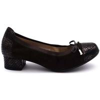 Zapatos Mujer Derbie & Richelieu D´chicas 2745 Marrón