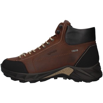 Zapatos Hombre Zapatillas altas IgI&CO 8140222 Marrón