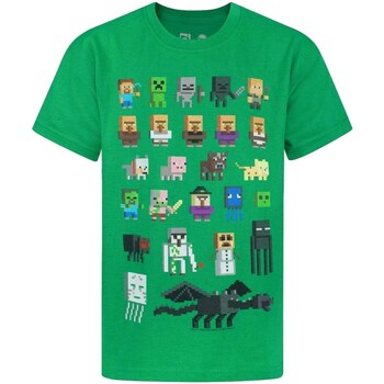 textil Niño Camisetas manga corta Minecraft NS4545 Verde