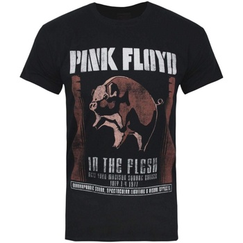 textil Hombre Camisetas manga larga Pink Floyd  Negro