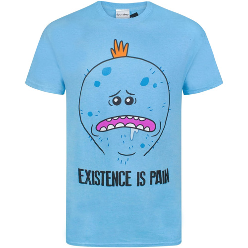 textil Hombre Camisetas manga larga Rick And Morty  Azul
