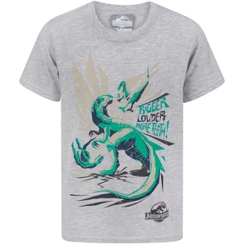 textil Niño Camisetas manga corta Jurassic World  Gris