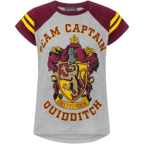 textil Niña Camisetas manga larga Harry Potter Quidditch Team Captain Multicolor