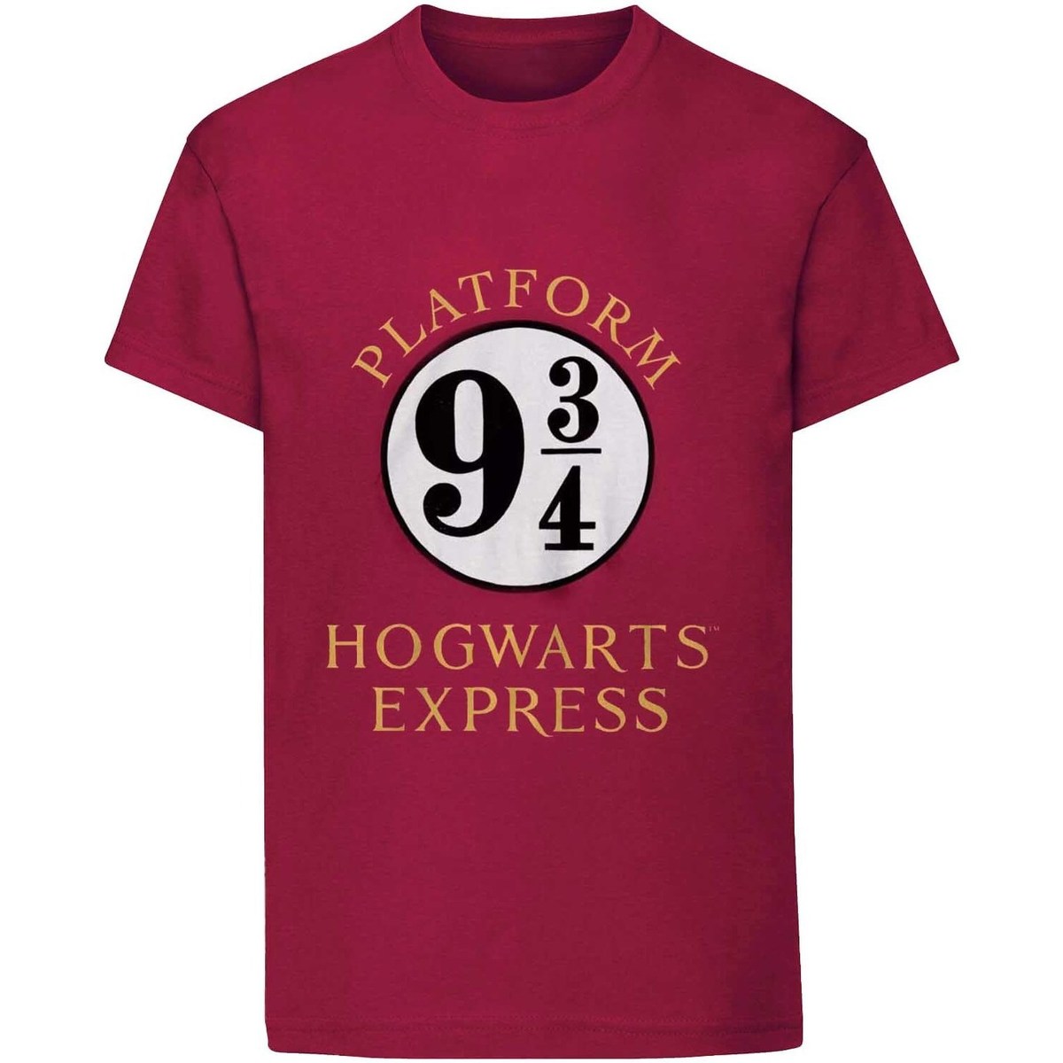 textil Niños Camisetas manga corta Harry Potter HE431 Multicolor