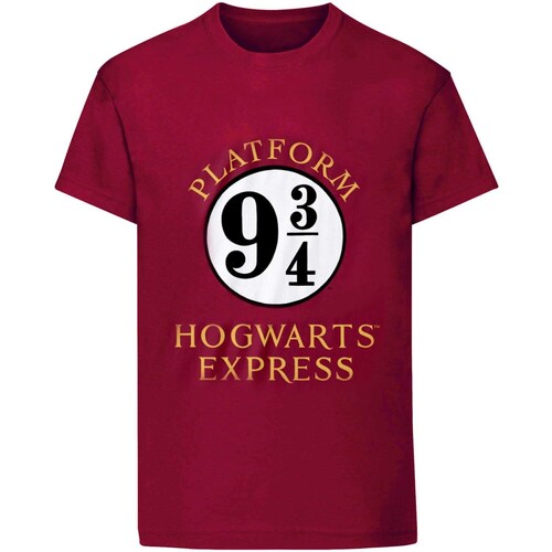 textil Mujer Camisetas manga larga Harry Potter HE225 Violeta
