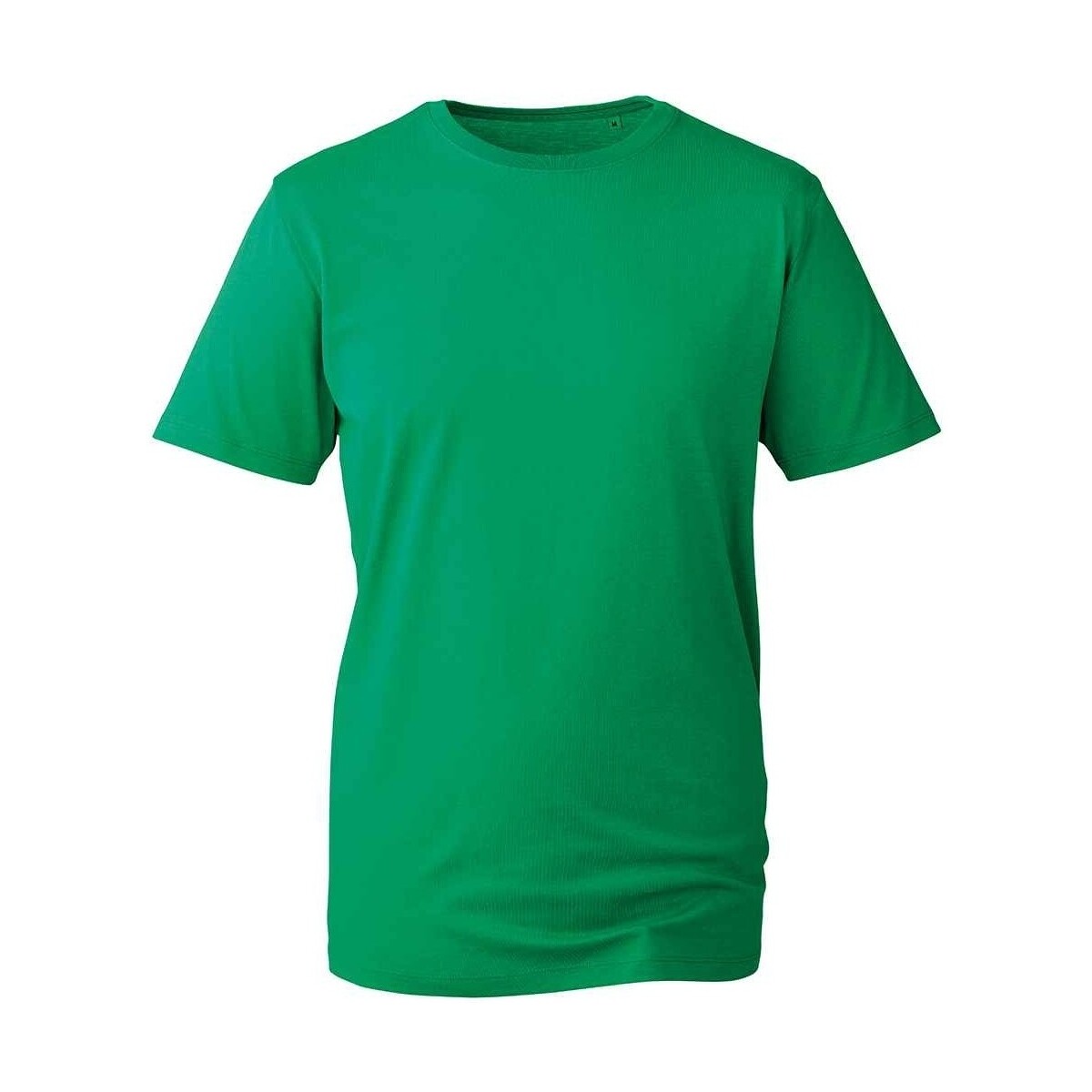 textil Hombre Camisetas manga larga Anthem AM10 Verde