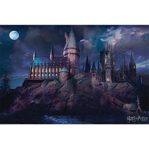 Casa Afiches / posters Harry Potter TA357 Multicolor