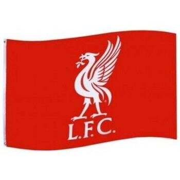 Accesorios Complemento para deporte Liverpool Fc BS1960 Rojo