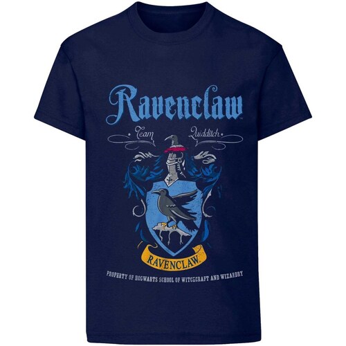 textil Camisetas manga larga Harry Potter HE458 Azul