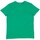 textil Hombre Camisetas manga corta Mantis M01 Verde