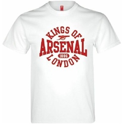 textil Camisetas manga larga Arsenal Fc BS2131 Rojo