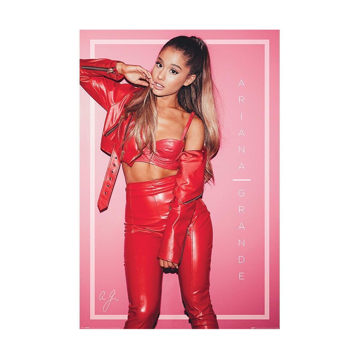 Casa Afiches / posters Ariana Grande TA6046 Rojo